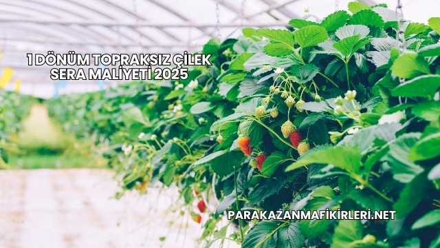 1 Dönüm Topraksız Çilek Sera Maliyeti 2025