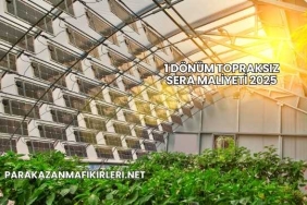 1 Dönüm Topraksız Sera Maliyeti 2025