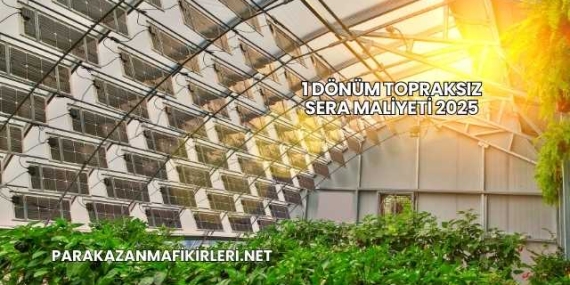 1 Dönüm Topraksız Sera Maliyeti 2025