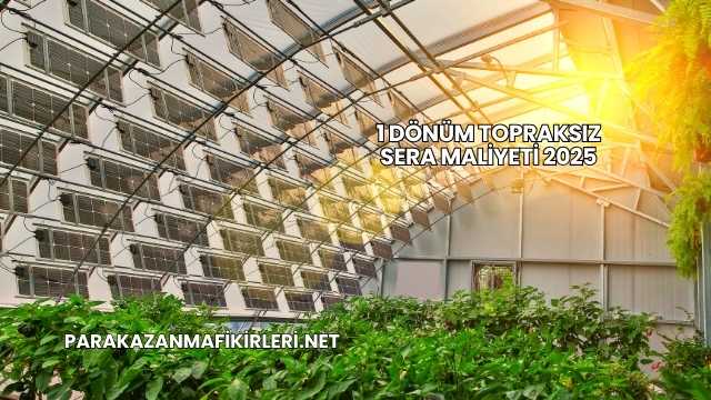1 Dönüm Topraksız Sera Maliyeti 2025