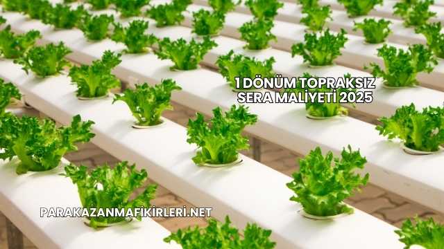 1 Dönüm Topraksız Sera Maliyeti 2025