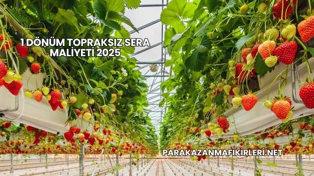 1 Dönüm Topraksız Sera Maliyeti 2025