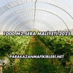 1000 M2 Sera Maliyeti 2025