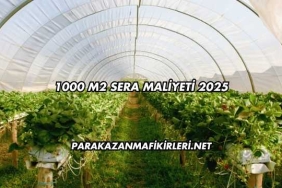 1000 M2 Sera Maliyeti 2025