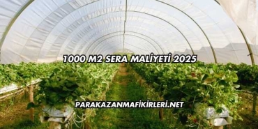 1000 M2 Sera Maliyeti 2025