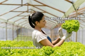 200 M2 Sera Maliyeti 2025