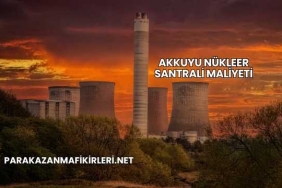 Akkuyu Nükleer Santrali Maliyeti