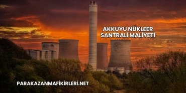 Akkuyu Nükleer Santrali Maliyeti