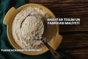 Anahtar Teslim Un Fabrikası Maliyeti