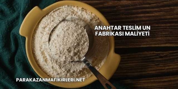 Anahtar Teslim Un Fabrikası Maliyeti