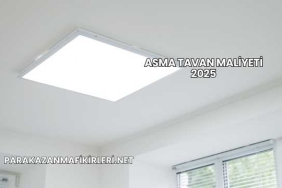 Asma Tavan Maliyeti 2025