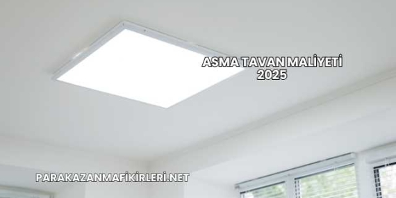 Asma Tavan Maliyeti 2025