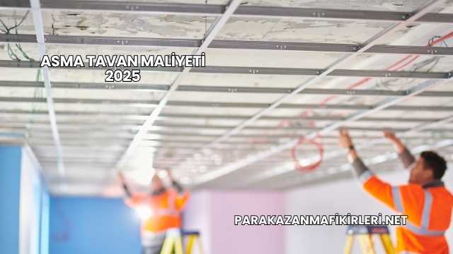 Asma Tavan Maliyeti 2025