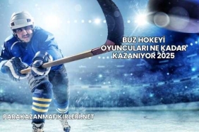Buz Hokeyi Oyuncuları Ne Kadar Kazanıyor 2025