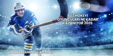 Buz Hokeyi Oyuncuları Ne Kadar Kazanıyor 2025