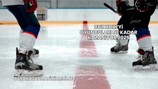 Buz Hokeyi Oyuncuları Ne Kadar Kazanıyor 2025