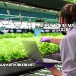 Dikey Tarım Maliyeti 2025