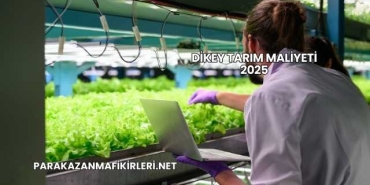 Dikey Tarım Maliyeti 2025