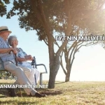 Eyt'nin Maliyeti 2025