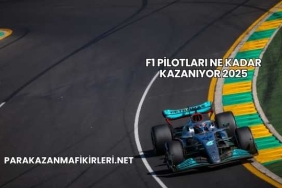 F1 Pilotları Ne Kadar Kazanıyor 2025