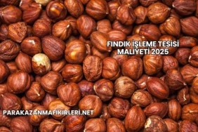 Fındık İşleme Tesisi Maliyeti 2025