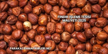 Fındık İşleme Tesisi Maliyeti 2025