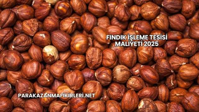Fındık İşleme Tesisi Maliyeti 2025