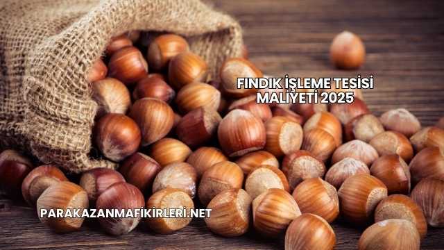 Fındık İşleme Tesisi Maliyeti 2025