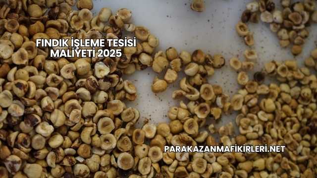 Fındık İşleme Tesisi Maliyeti 2025
