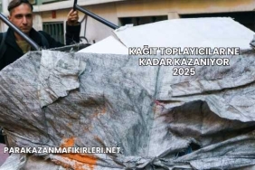 Kağıt Toplayıcılar Ne Kadar Kazanıyor 2025