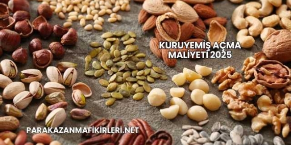 Kuruyemiş Açma Maliyeti 2025