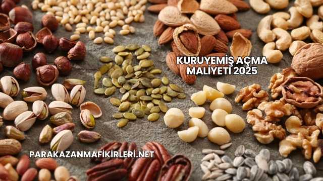 Kuruyemiş Açma Maliyeti 2025