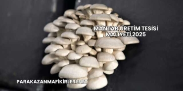 Mantar Üretim Tesisi Maliyeti 2025