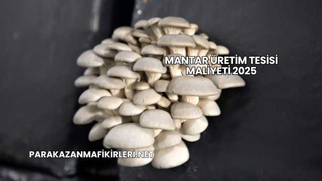 Mantar Üretim Tesisi Maliyeti 2025