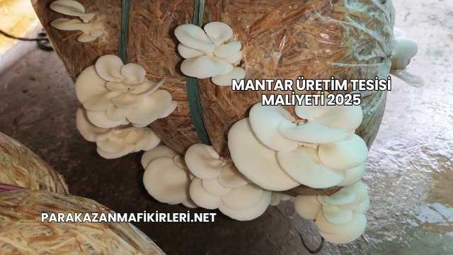 Mantar Üretim Tesisi Maliyeti 2025