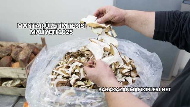 Mantar Üretim Tesisi Maliyeti 2025