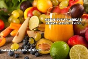 Meyve Suyu Fabrikası Kurma Maliyeti 2025