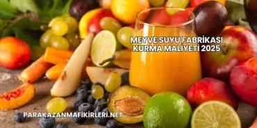 Meyve Suyu Fabrikası Kurma Maliyeti 2025