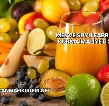 Meyve Suyu Fabrikası Kurma Maliyeti 2025