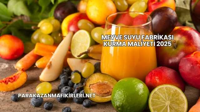 Meyve Suyu Fabrikası Kurma Maliyeti 2025