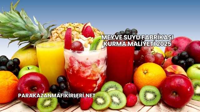 Meyve Suyu Fabrikası Kurma Maliyeti 2025