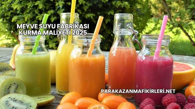 Meyve Suyu Fabrikası Kurma Maliyeti 2025