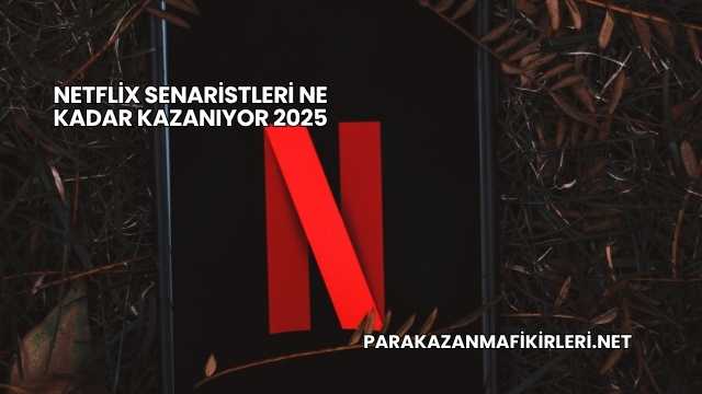 Netflix Senaristleri Ne Kadar Kazanıyor 2025