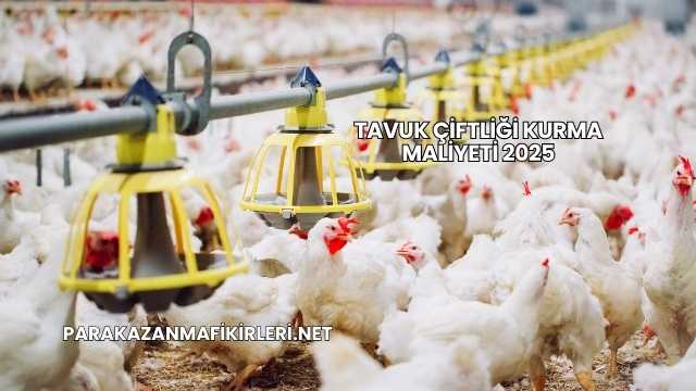 Tavuk Çiftliği Kurma Maliyeti 2025