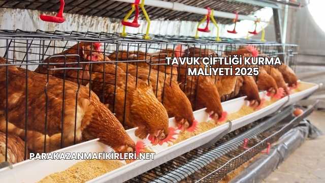 Tavuk Çiftliği Kurma Maliyeti 2025