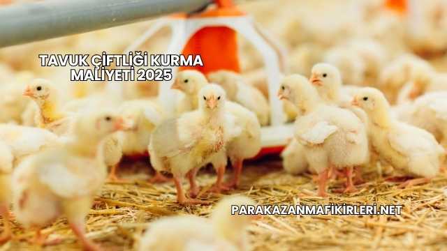 Tavuk Çiftliği Kurma Maliyeti 2025