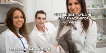 Veterinerler Ayda Ne Kadar Kazanıyor 2025