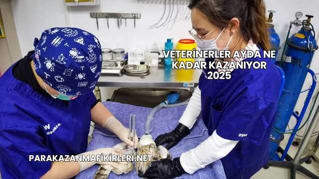 Veterinerler Ayda Ne Kadar Kazanıyor 2025